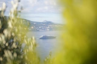 Naples Salerno Terminal Cruise Enjoy Positano and Sorrento