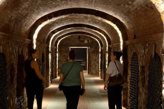 With Edo - Private Barolo Without the Crowds · From Turin