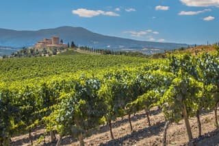 8 Stops in Chianti Fiorentino by Vespa