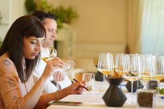 100 Garganega in the Soave Classic Guided Tour and Wine Tasting