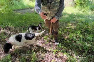 Truffle Hunting Adventure in Nature