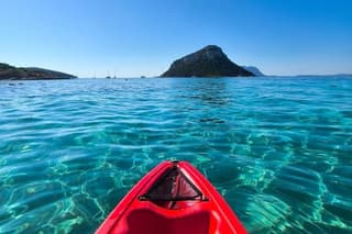 Paddle with Dolphins Kayak Tour and Aperitif