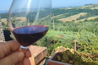 Wine Tasting of Chianti Olive Oil and Winery Visit