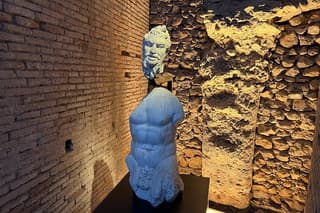 Roman Forum Pass with Domus Tiberiana Private Tour