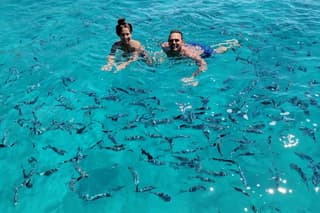 Olbia: Tour of the most beautiful Coves of Olbia and Capo Figari