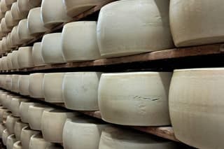 Private Modena Hills Tour Parmigiano DOP Vinegar DOP Lunch