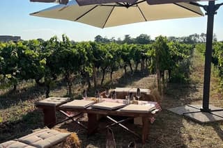Private Tour of Alberobello and Locorotondo Wine Tasting