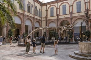 Milan Private Family Tour Castle Gelato and Dinosaurs