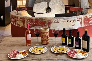 Hypogeum Olive Oil Mill Tour and Tasting in Martina Franca