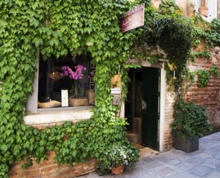 Avogaria 5 Rooms