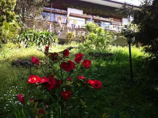 B&B Le Ortensie -Lago di Como