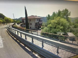 Il cipresso