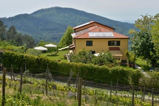 Il Laghello Wood House