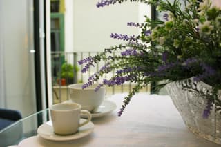 B&B Katerine