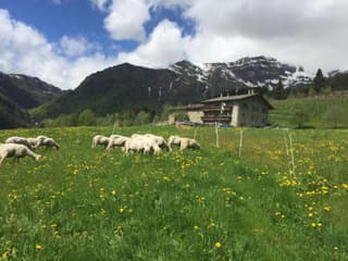 Agriturismo Ca' di Racc