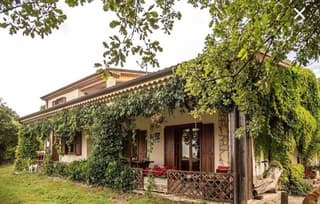 The Forest House