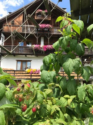 Casa Melide 2
