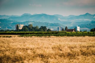 Agriturismo Podere Zampiera Vecchia - vicino Imola e Autodromo