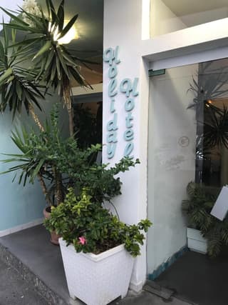 Hotel Holiday