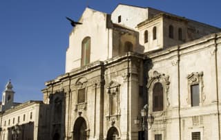 Domatia