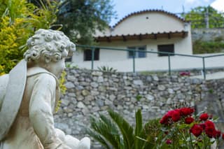 Il Mandorlo