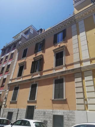 Magna Domus