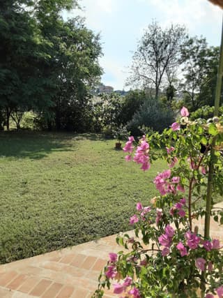 Fonte la Perna