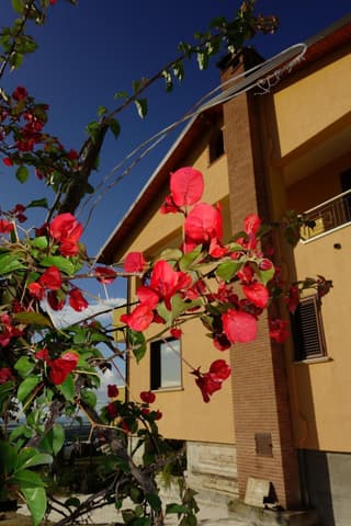 casa vacanze, via delle margherite 3