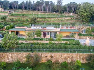 Borgo dell'Uccellaia - Turchese - Giada