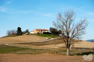 Poggio alla Pietra 26