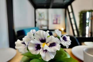 Linea1 loft