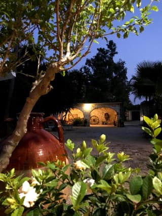 Masseria Scianne