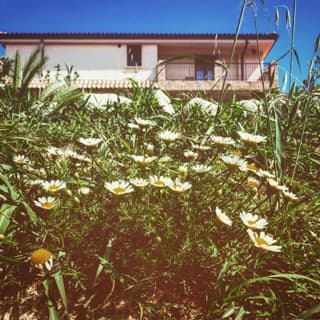 Casale del Sole