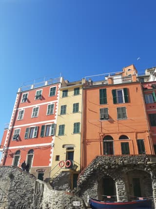 Pepita di Rio