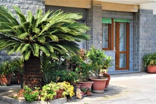 Case di Rosita