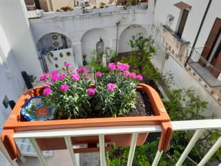 B&B Ninedda