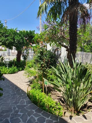 Casa DAFNE