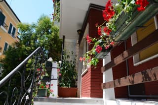 Trevisi27
