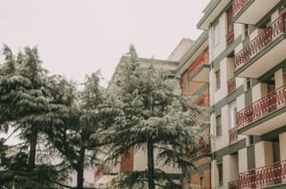 B&B La Casa Pugliese