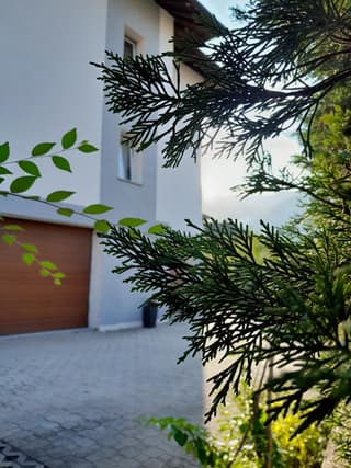 Appartment Lodged Mamma Maria