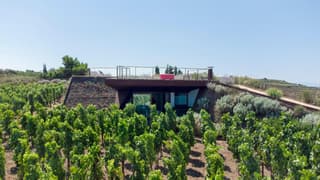 Tenuta di Castellaro Winery & Resort