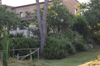 Il Saragio