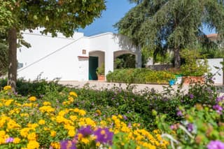Luoghi di Puglia