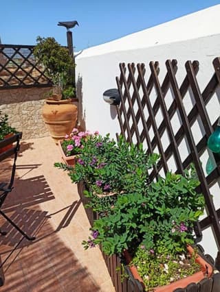 House SoleSiculo