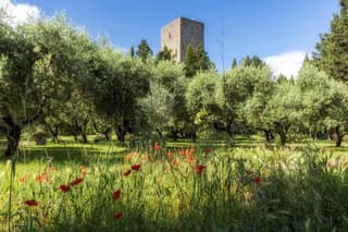 Torre dei Belforti
