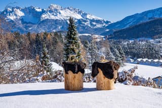 Chalet Schlossberg Rosengarten