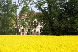 Agriturismo Villa Selvatico