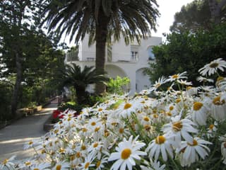 B&B Il Sogno