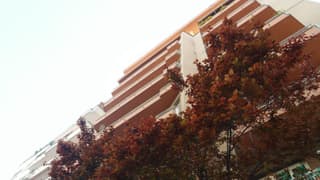 B&B La Perla di Roma