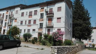 Il Tulipano
